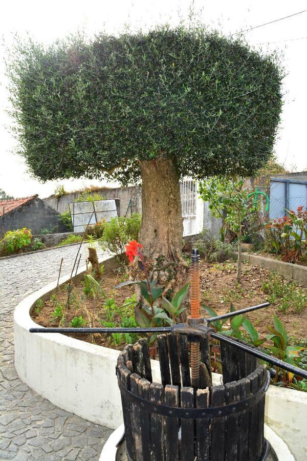 Casa Rebelo Cossourado (Braga) Exterior foto